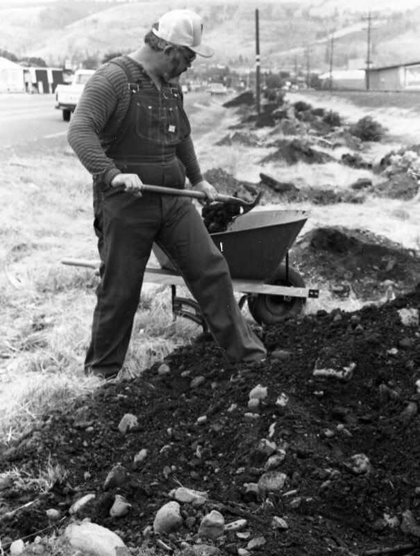 1985 Soroptimist Tree Plantings 14
