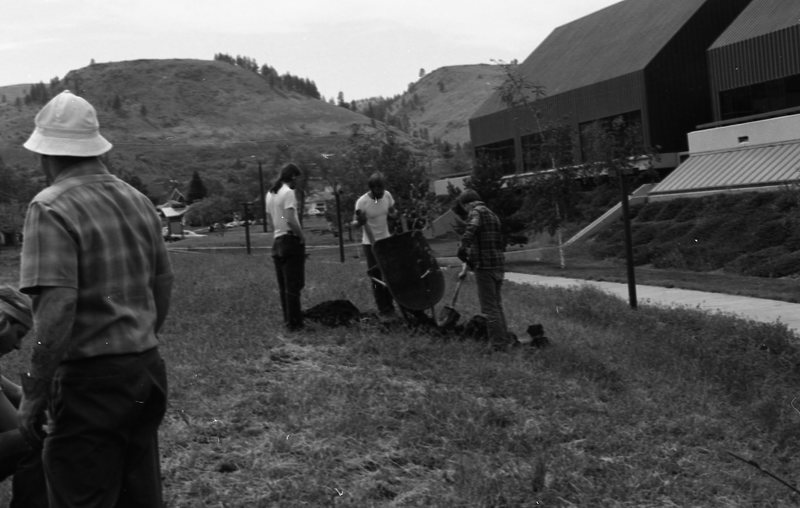 1981 Campus Tree Plantings 01