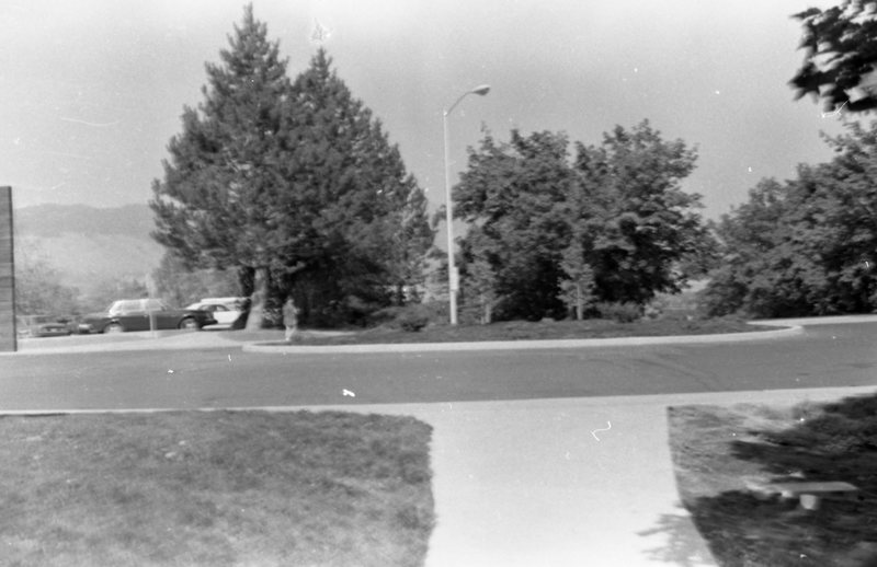 1987 Campus, Roundabout