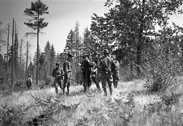 A group of about seven soldiers standing in a lightly wooded area talking with one another.  One of the men can be seen in the background with his back to the camera. 