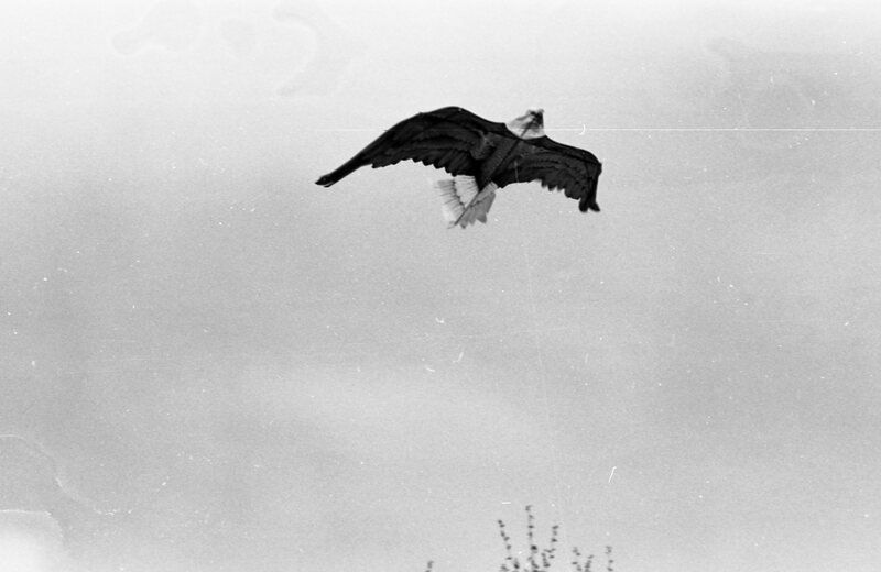 1985 Spring Festival, Kite Flying 04