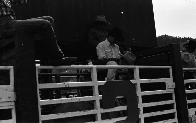 1981 Rodeo, Cowboys in Chute 19