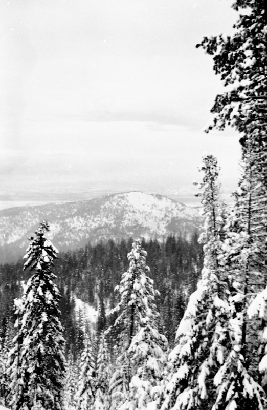 1981 Oregon, Blue Mountains 06