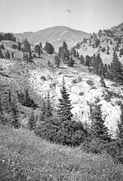 Oregon, Scenery 23