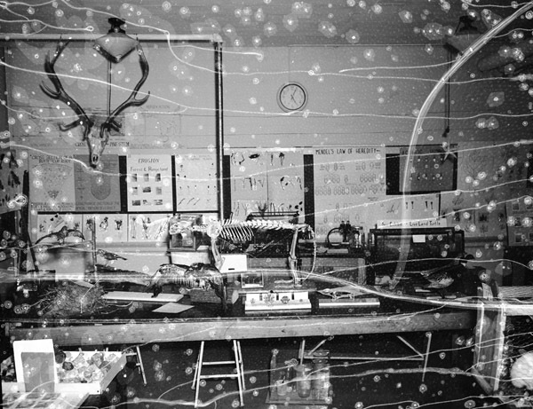 1949-50 Biology Lab Display 1