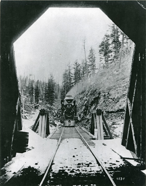 Train Crossing Bridge 1