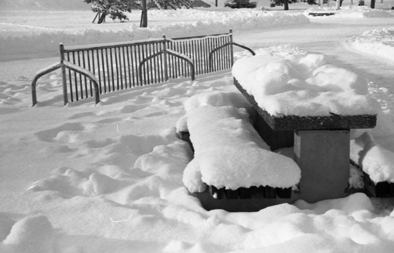1984 Campus in Winter 01