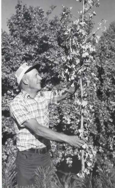 1976 Employee, George McClure 1-1