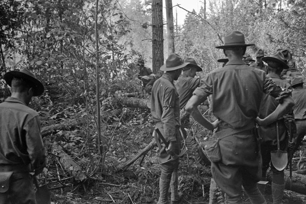A group of soldiers, roughly eight to ten, stand together in a heavily wooded area with their backs to the camera.