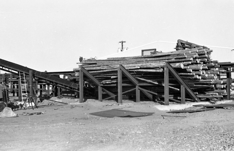 1980 Log Plant 07