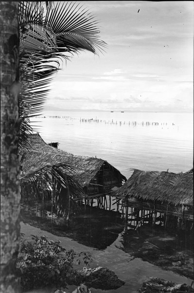 Biak Native Homes 3