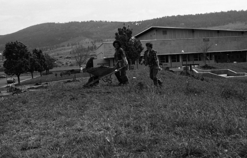 1981 Campus Tree Plantings 06