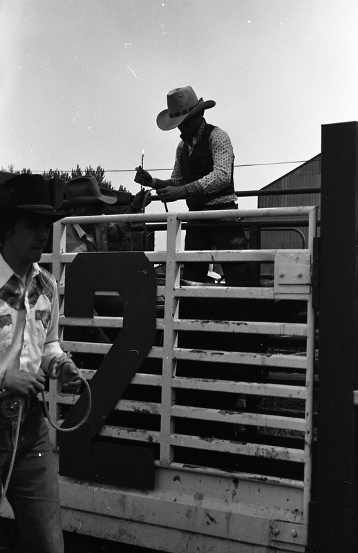 1981 Rodeo, Cowboys in Chute 13