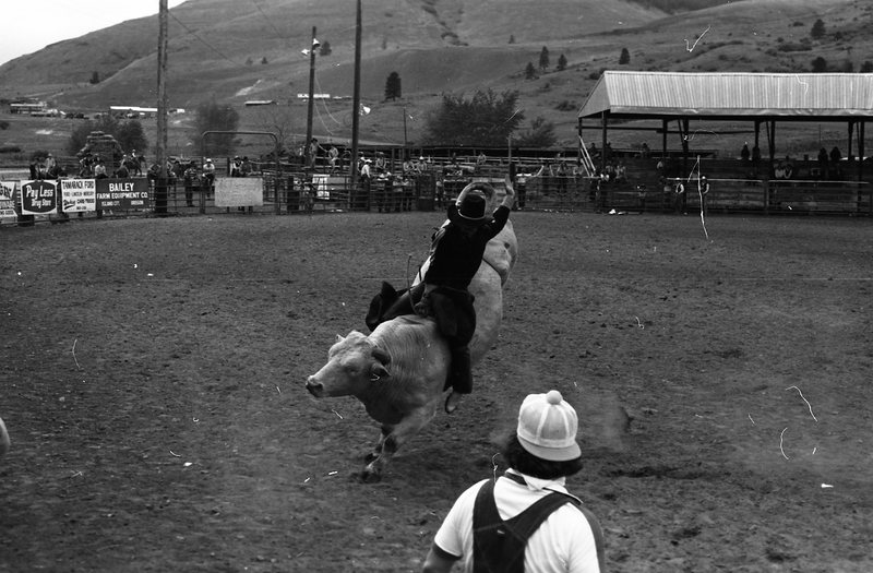 1981 Rodeo, Bull Riding 07