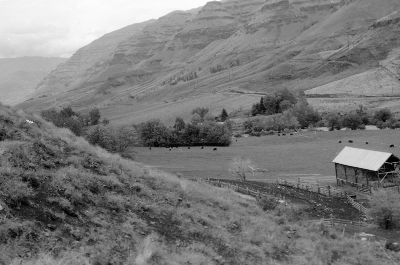 1980 Imnaha, May 14th Visit 01