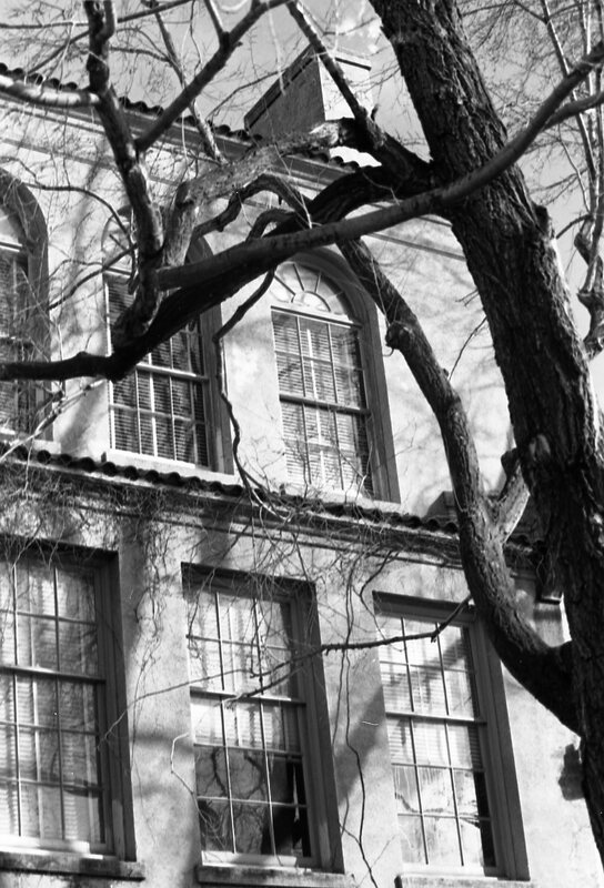 1987 Ackerman Elementary School, Windows 02