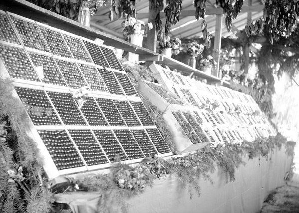 Cove, Cherry Fair Display 9