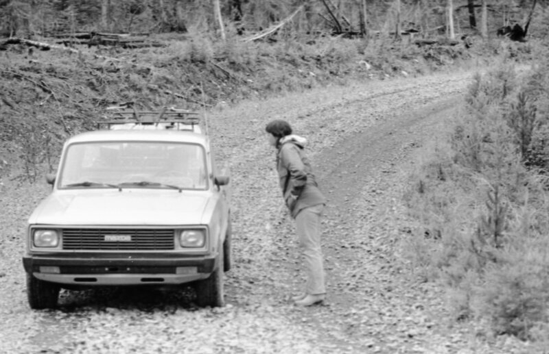 1987 Field Trip, Forest 18