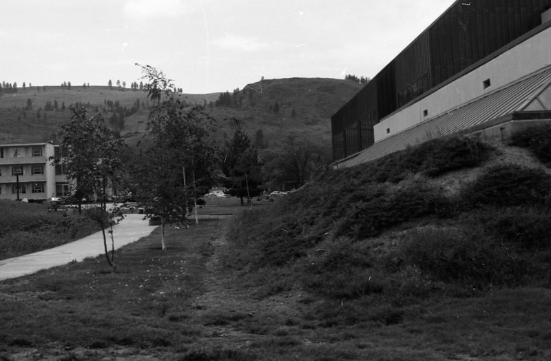 1981 Campus Tree Plantings 15