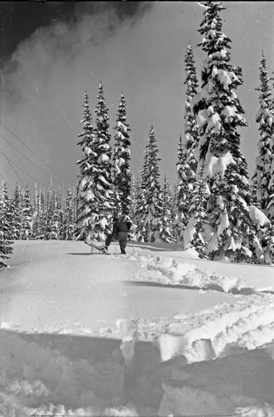 Mt. Rainier, Snow Hike 2
