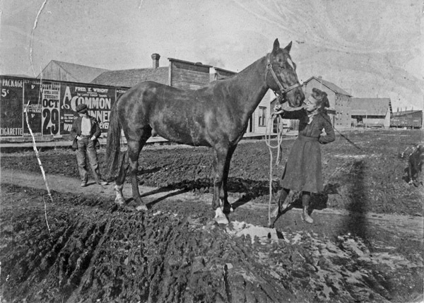 La Grande, Horse at Intersection