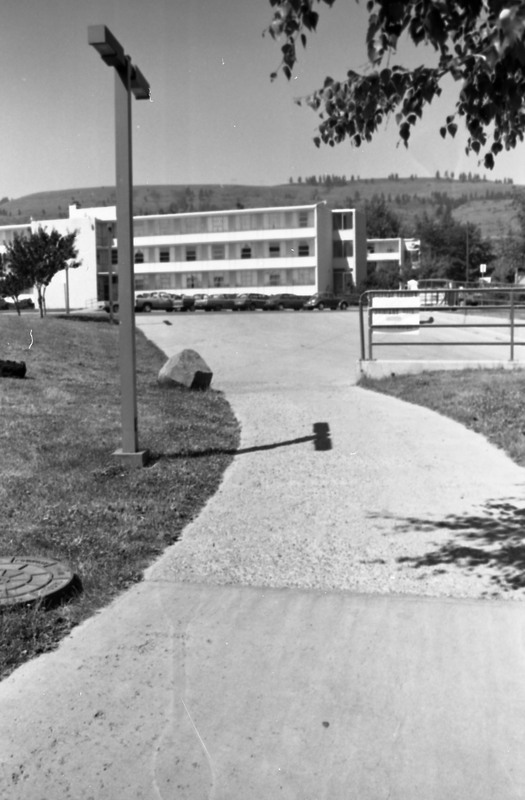 1987 Hoke Hall Sidewalk 03