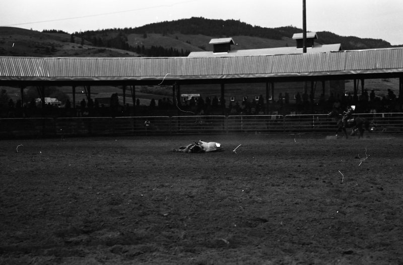 1981 Rodeo, Bulldogging 07