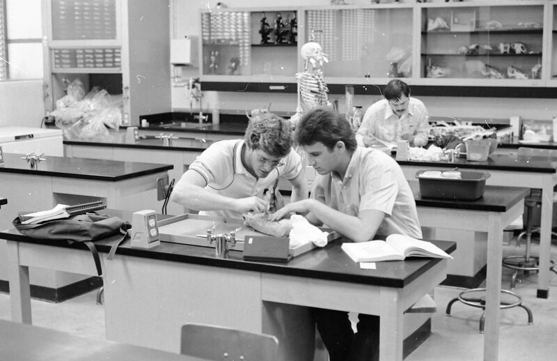 1984 Biology Lab, Dissection 04