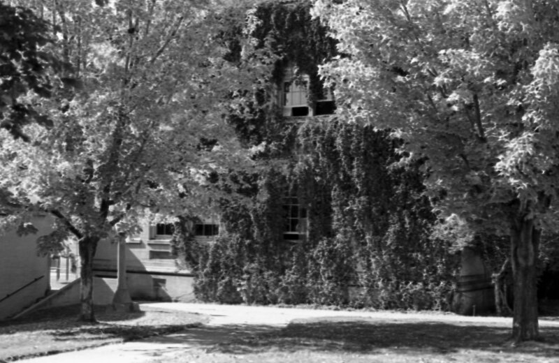 1978 Campus in Autumn 06