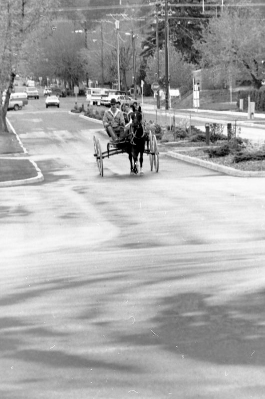 1988 Employee, Jack Johnson Carriage Ride 01