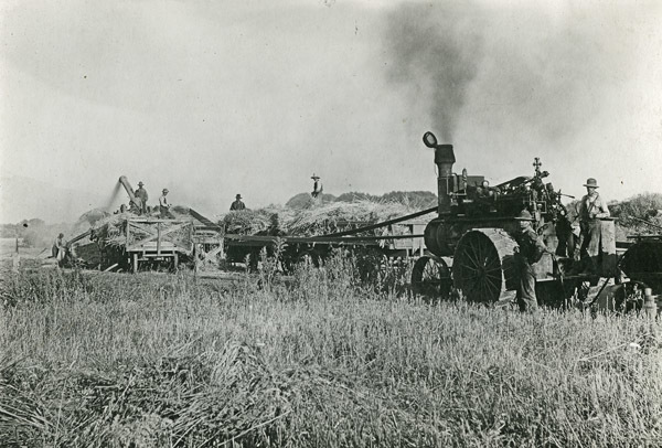 GRV, Threshing Operation 4