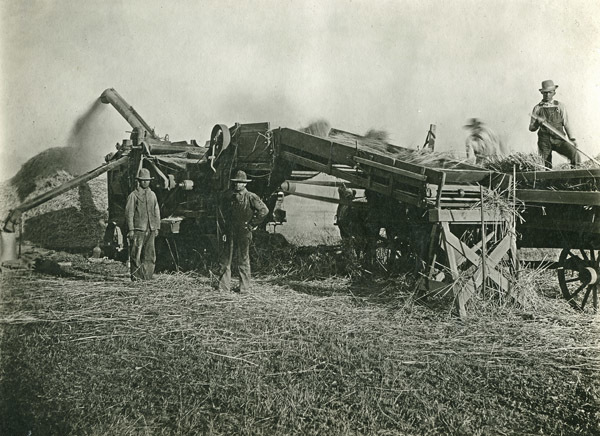 GRV, Threshing Operation 5