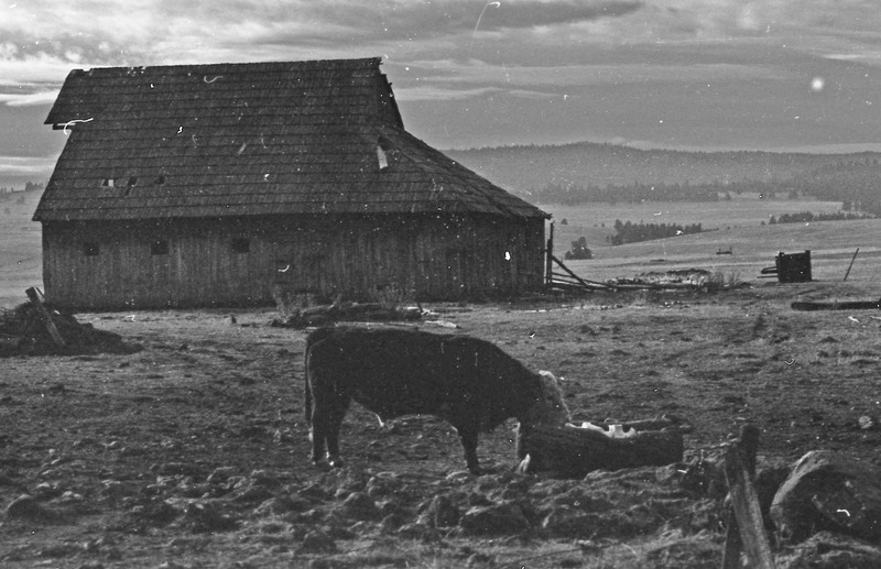 1985 Agriculture, Ranch 07