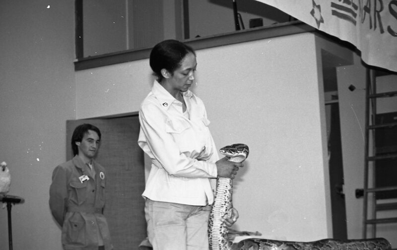 1985 Ackerman Elementary School, Safari 14