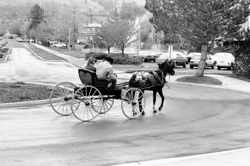 1988 Employee, Jack Johnson Carriage Ride 12