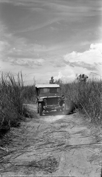 Mindoro, Jeep