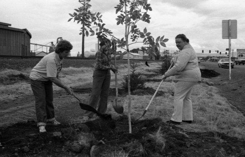 1985 Soroptimist Tree Plantings 01