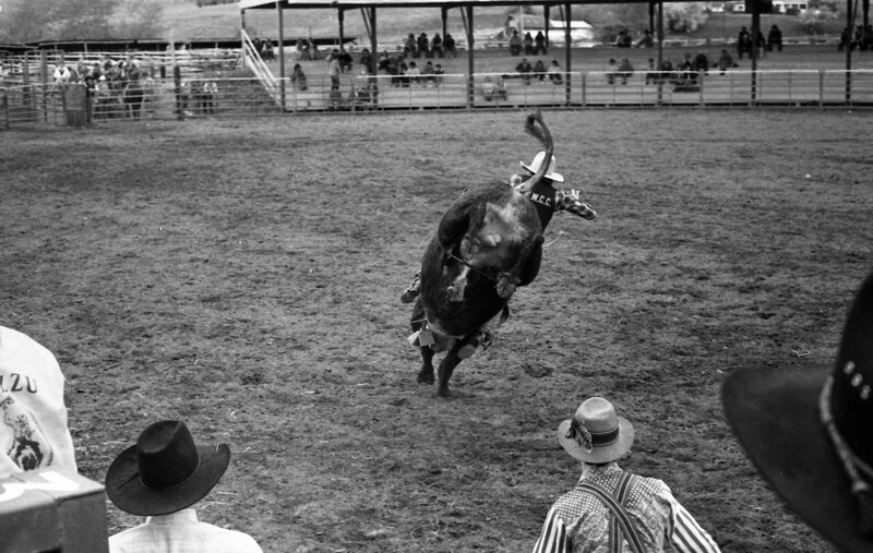 1984 Rodeo Club, Bull Riding 11