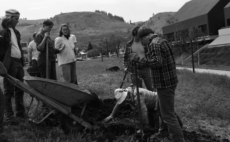 1981 Campus Tree Plantings 09