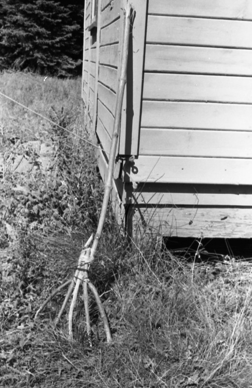 1981 Wallowa Mt. Field Station 53