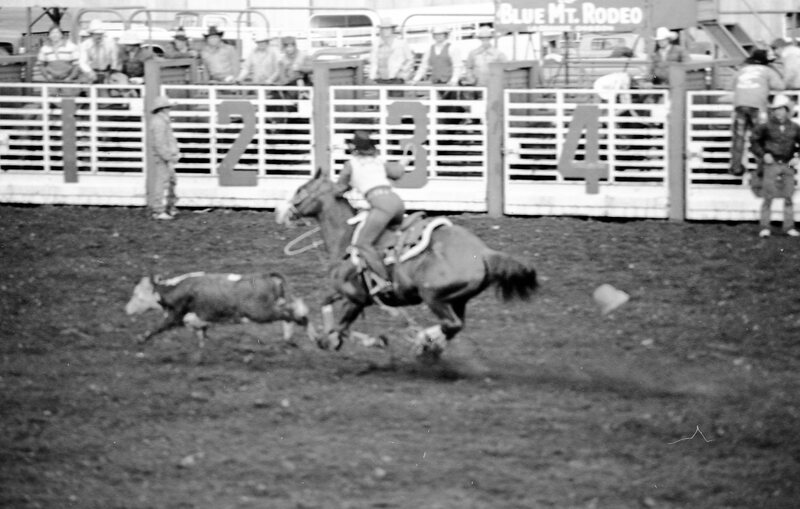 1978 Rodeo, Roping 07