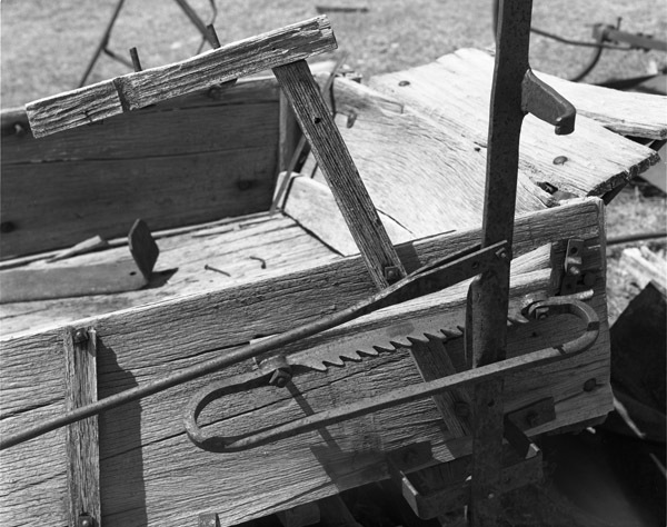 California, Wagon Detail 1