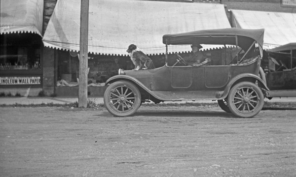 Automobile, Dog Gets Ride
