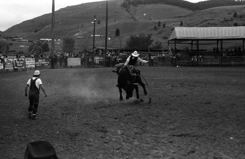 1981 Rodeo, Bull Riding 11