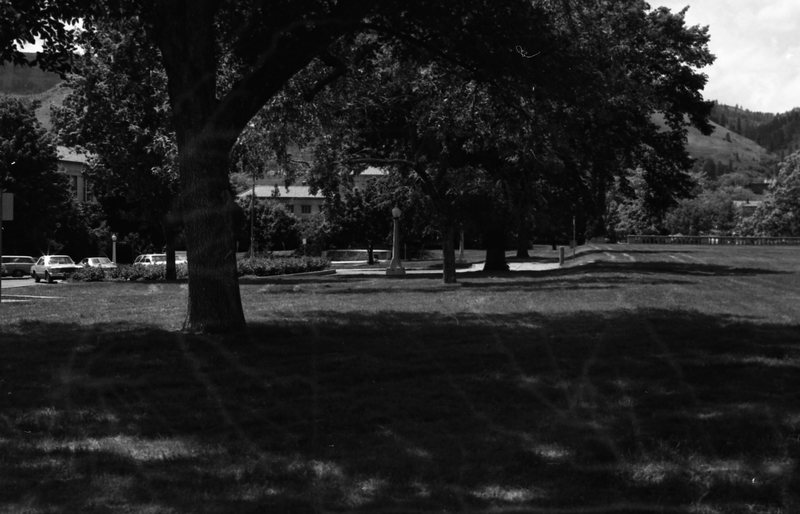 1981 Campus from Inlow Hall 02