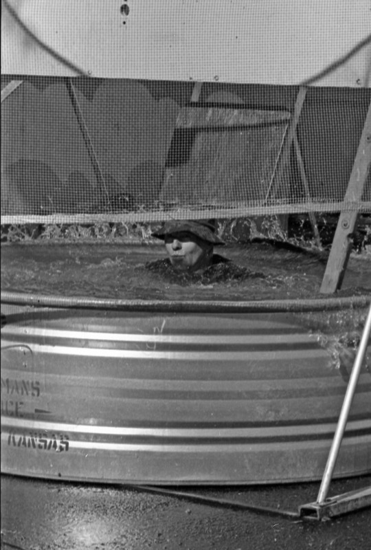 1976 Octoberfest, Dunk Tank with Rodney Briggs 10