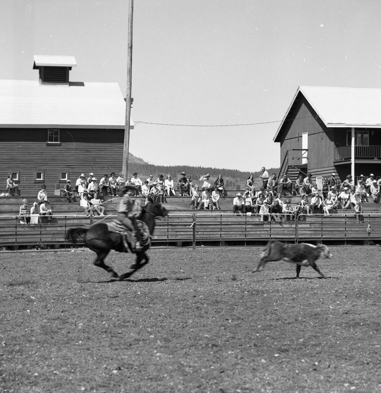 1970 Rodeo, Calf Roping 01