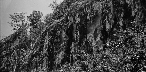 Biak Coral Cliffs 1