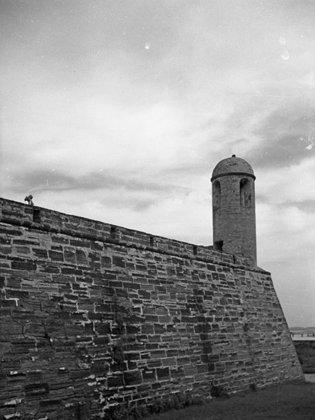 St. Augustine 33
