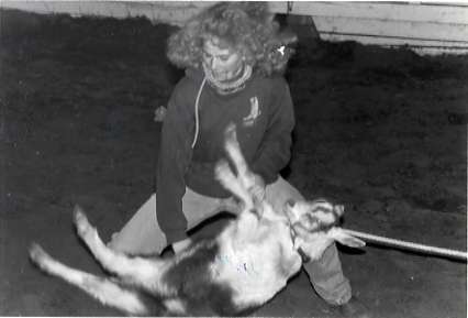 1991 Rodeo, Roping Practice 01